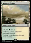 Scavenger Grounds