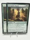 Dawnglade Regent