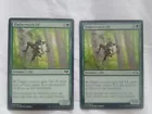 Timberwatch Elf