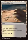 Scoured Barrens #