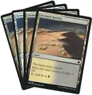 Scoured Barrens