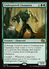 Undergrowth Champion #