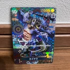 Kaido