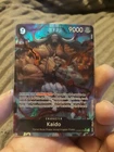Kaido