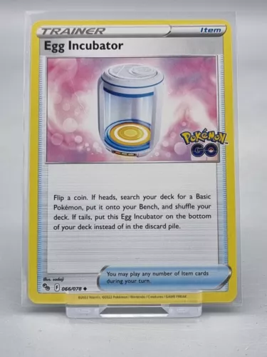 Egg Incubator