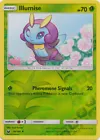 Illumise