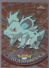 Nidorina