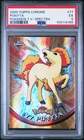 Ponyta