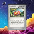 Memory Berry