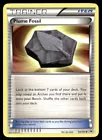 Plume Fossil