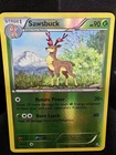 Sawsbuck
