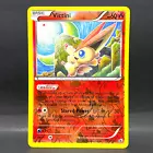 Victini