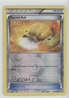 Sacred Ash
