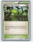 Forest of Giant Plants