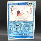 Cetoddle
