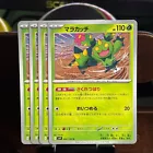 Maractus