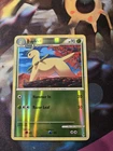 Bayleef