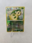 Bayleef