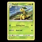 Bayleef