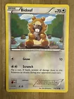 Bidoof