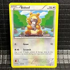 Bidoof