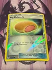 Big Malasada