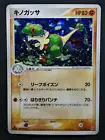 Breloom