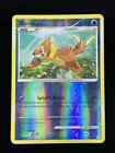 Buizel