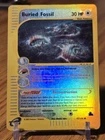 Buried Fossil