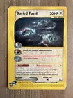 Buried Fossil