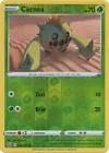 Cacnea