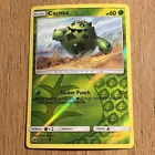 Cacnea