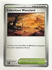 Calamitous Wasteland