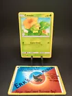 Caterpie