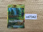 Viridian Forest