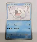 Cetoddle