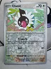 Chatot