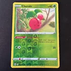 Cherubi