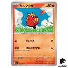 Darumaka