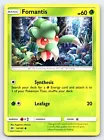 Fomantis