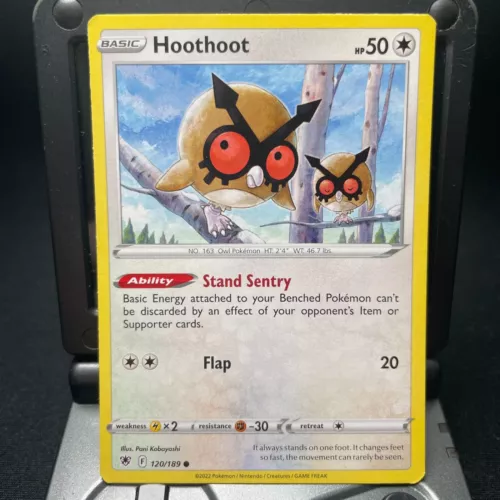 Hoothoot