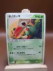 Breloom