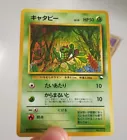 Caterpie
