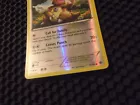 Kangaskhan