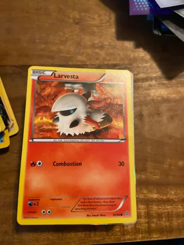 Larvesta