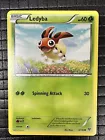 Ledyba