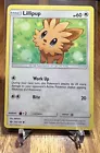 Lillipup