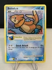 Buizel