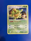 Ludicolo