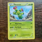Maractus